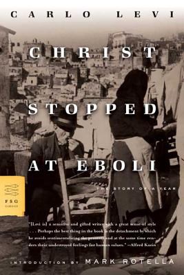 Cover image of Christ stopped at Eboli : the story of a year