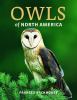 Owls