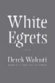 White Egrets White Egrets