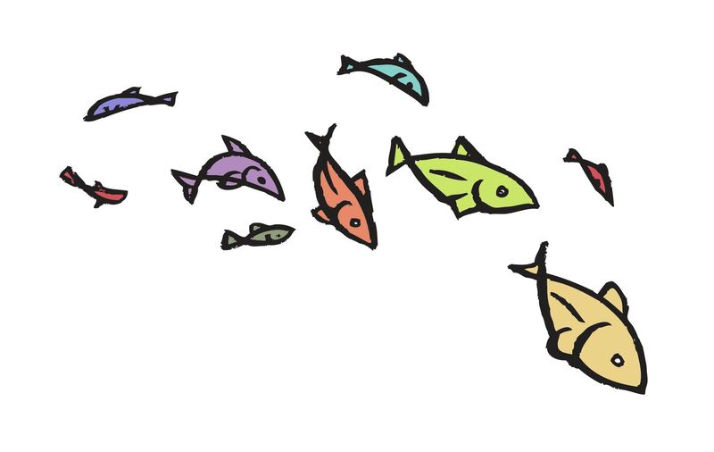 1.fish