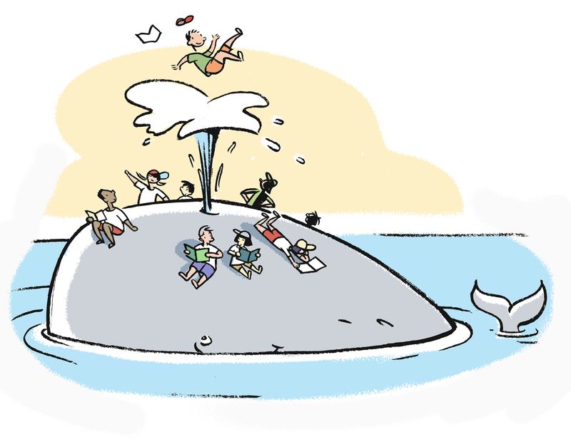 1.whale 1.whale