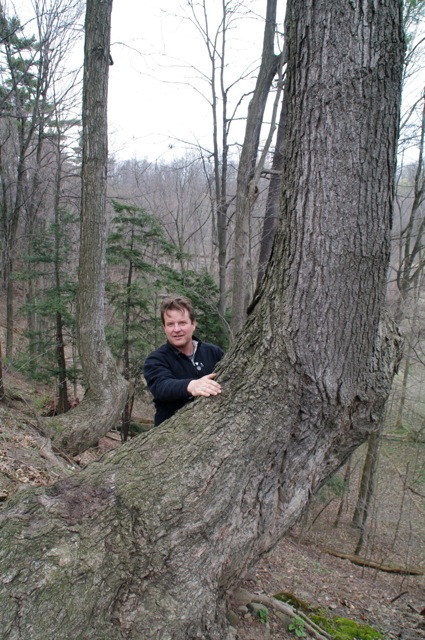 Sugar maple markers Sugar maple markers
