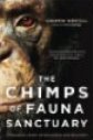 Chimps of fauna sanctuary