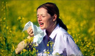 Hay fever Hay fever