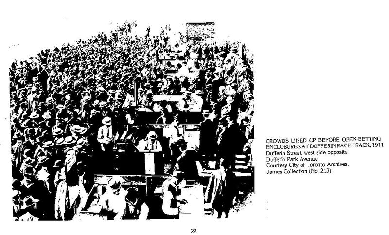 DufferinRaceTrack DufferinRaceTrack