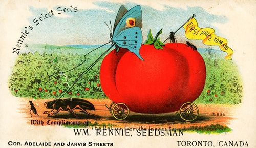 Wm Rennie blotter Wm Rennie blotter