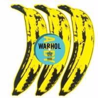 Andy Warhol the record covers Andy Warhol the record covers