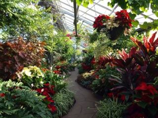 Allan Gardens