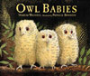 Owlbabies