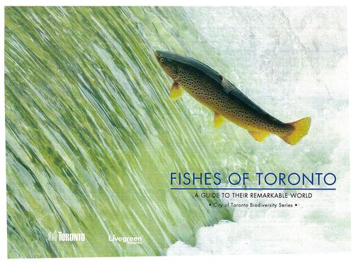 Fishes-of-Toronto-cover-art-2011 Fishes-of-Toronto-cover-art-2011