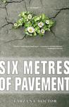 Six metres of pavement