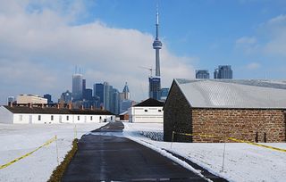 Titles on War of 1812 at NYCL Fort york