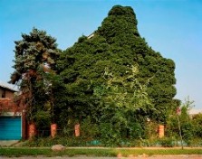 Walden_Street-Detroit