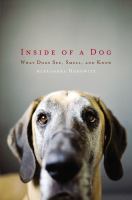 Insideofadog Insideofadog