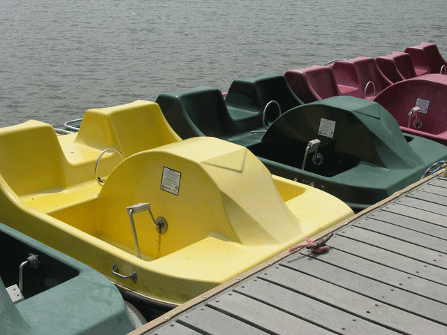 Paddle Boats Paddle Boats