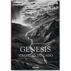 Genesis. Salgado