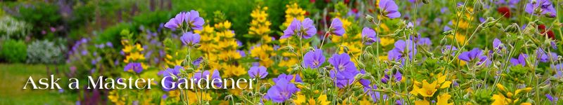 Ask_a_master_gardener