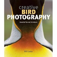 Creative Bird Photography