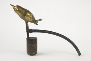 Photographer's birdie