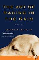 Artofracingintherain Artofracingintherain