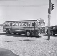 T.T.C. bus #1904 on Keele St. at Wilson Ave., 1955