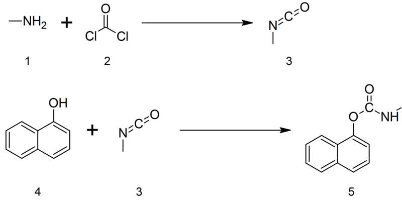 800px-Preparation_of_carbaryl_as_in_Bhopal