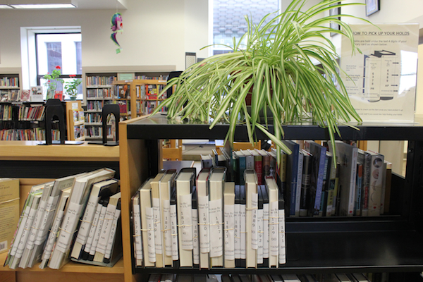 Holds Shelf