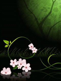 Link to more butterflies