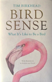 Bird Sense Bird Sense