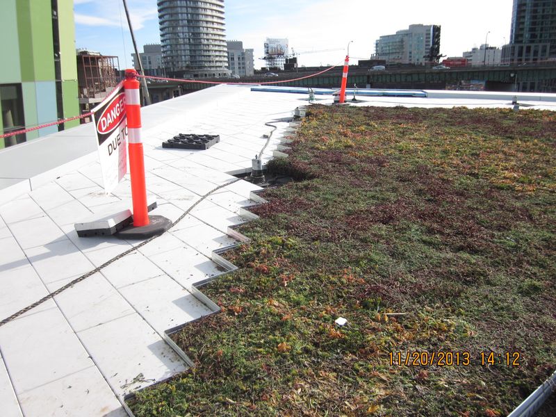Fort York Branch Toroto Public Library Green Roof November 2013