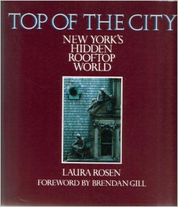 Top of the City New York's Hidden Rooftop World