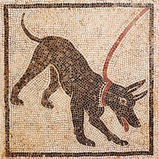 Mosaic of watchdog