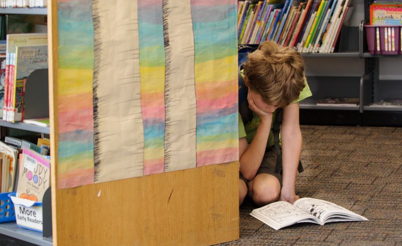 Boy Reading at the Library