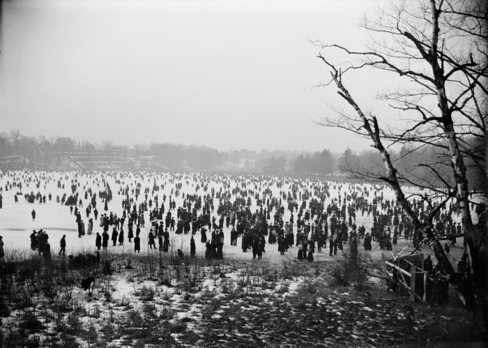 1908 High Park, Grenadier Pond by Joseph Adamson Blakey