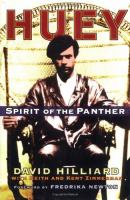 Huey spirit of the Panther