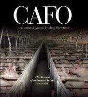 Cafo Cafo
