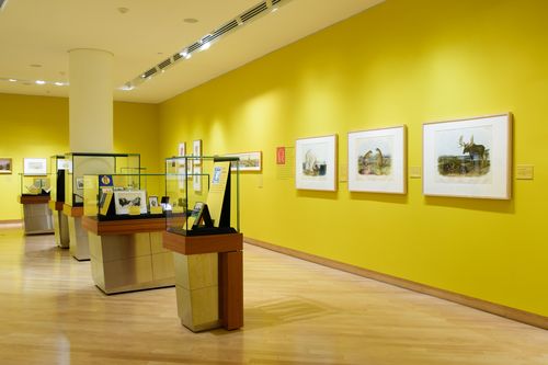 TD_Gallery Special collections A to Z_TRL2016__TPL_1551 TD_Gallery Special collections A to Z_TRL2016__TPL_1551