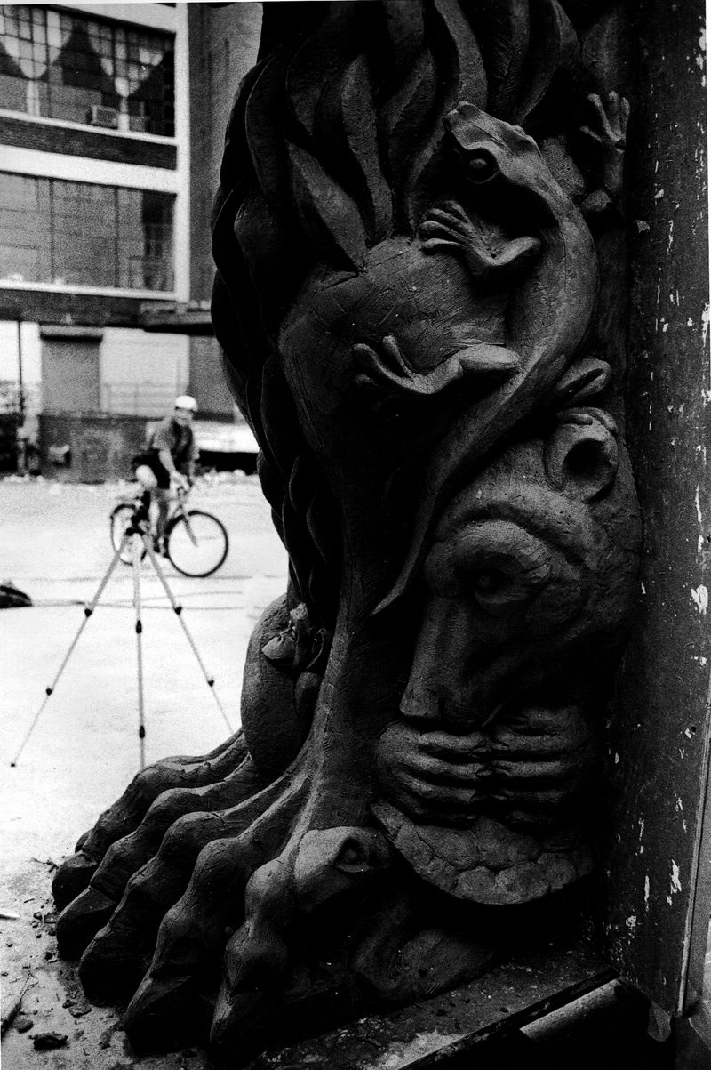 Lizard closeup black and white