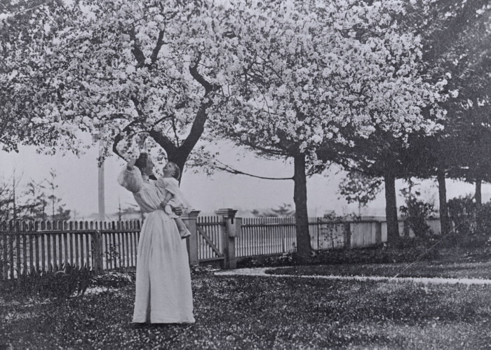 Mrs. Owen Staples holding her daughter Isabella circa 1908 near cherry blossoms.