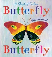 Butterfly Butterfly Butterfly Butterfly