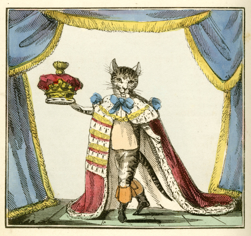 The Surprising Adventures of Puss in Boots 