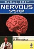 The nervous system