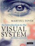 An introduction to the visual system