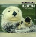 The nature of sea otters