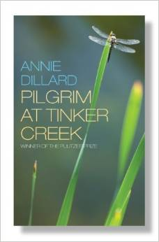 Pilgrim at Tinker Creek