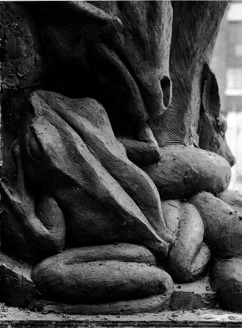 Frog closeup black and white