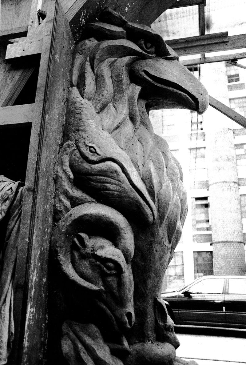 Whale closeup black and white Whale closeup black and white