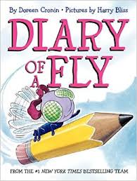 Diary of fly Diary of fly