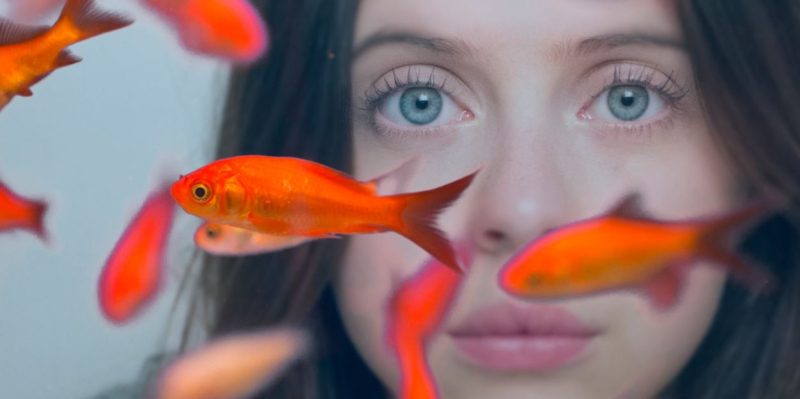 Carrie Pilby Carrie Pilby