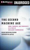 Second machine age